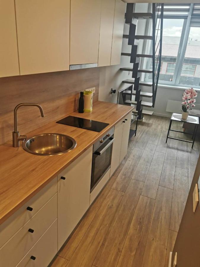 Ferienwohnung Lofto Tipo 2 Kambariu Butas Kaunas Exterior foto